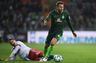 Rutineret duo forlader Werder Bremen