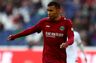 Hannover-bet: Ny spiller færdig for sæsonen